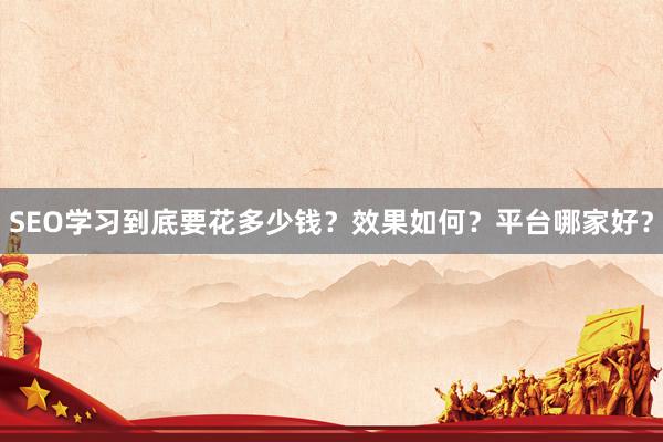 SEO学习到底要花多少钱？效果如何？平台哪家好？
