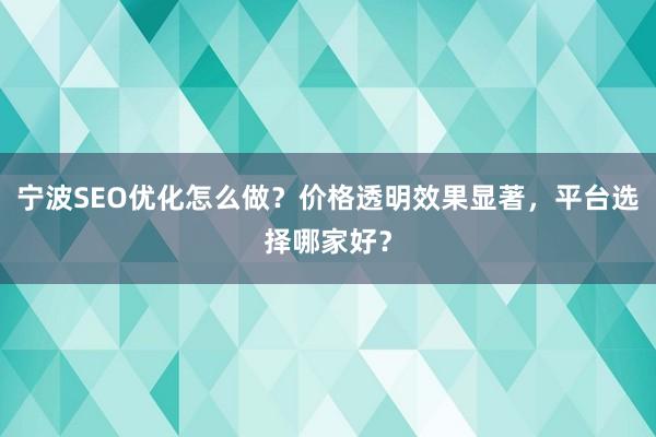 宁波SEO优化怎么做？价格透明效果显著，平台选择哪家好？