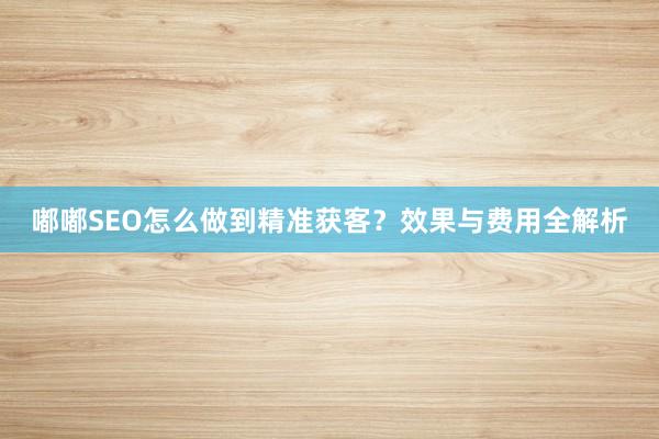 嘟嘟SEO怎么做到精准获客？效果与费用全解析