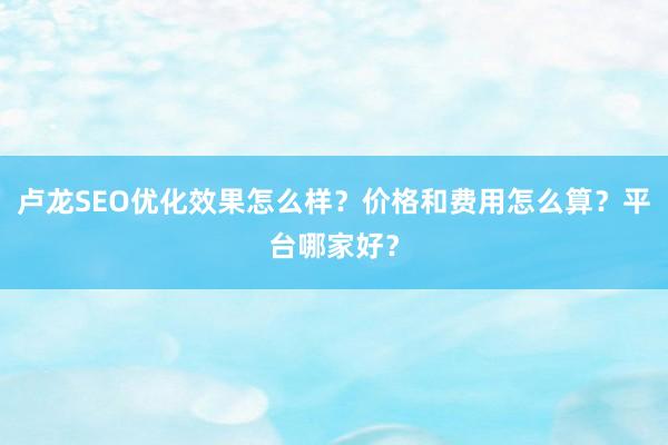 卢龙SEO优化效果怎么样？价格和费用怎么算？平台哪家好？