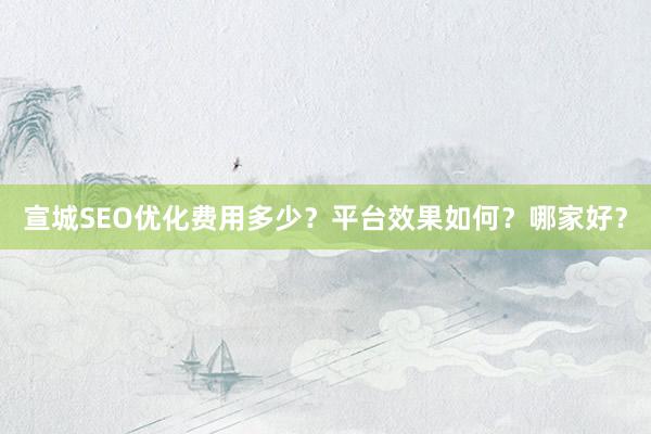 宣城SEO优化费用多少？平台效果如何？哪家好？