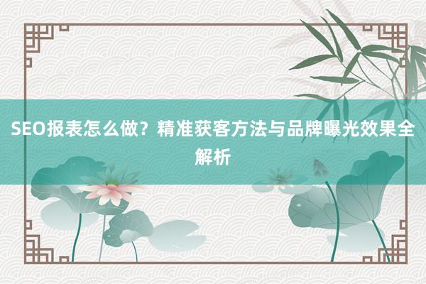 SEO报表怎么做？精准获客方法与品牌曝光效果全解析