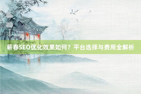 蕲春SEO优化效果如何？平台选择与费用全解析
