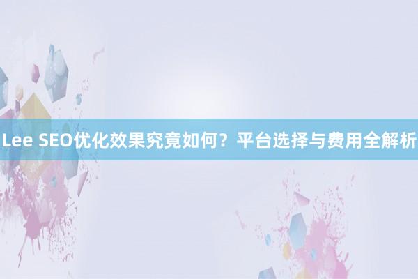 Lee SEO优化效果究竟如何？平台选择与费用全解析