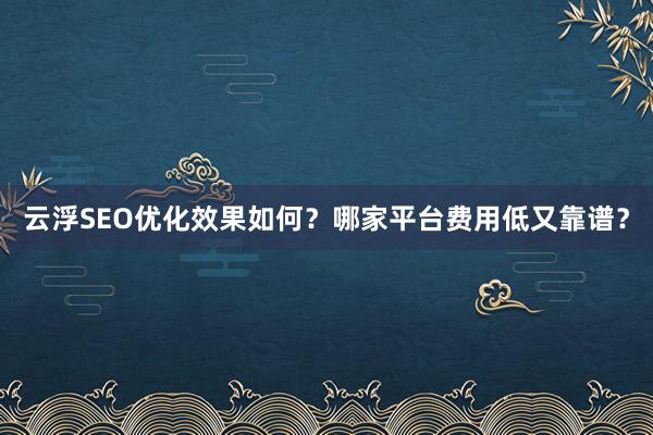 云浮SEO优化效果如何？哪家平台费用低又靠谱？