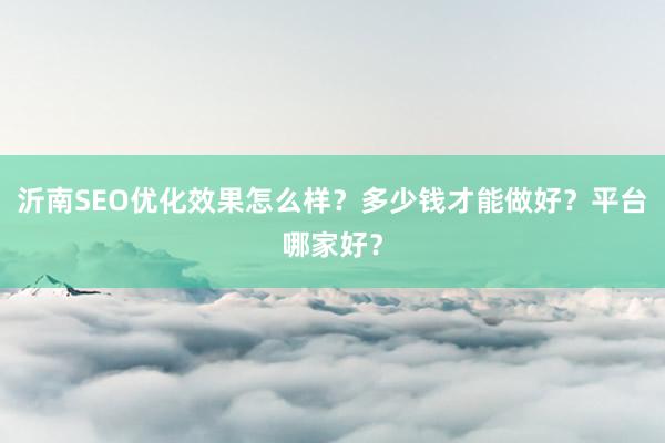 沂南SEO优化效果怎么样？多少钱才能做好？平台哪家好？