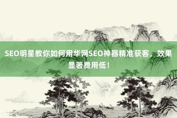 SEO明星教你如何用华网SEO神器精准获客，效果显著费用低！
