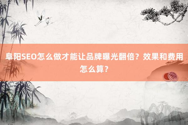 阜阳SEO怎么做才能让品牌曝光翻倍？效果和费用怎么算？