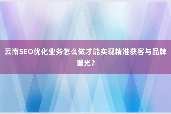 云南SEO优化业务怎么做才能实现精准获客与品牌曝光？