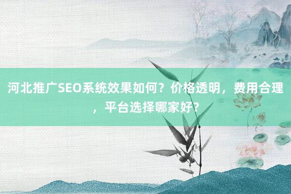 河北推广SEO系统效果如何？价格透明，费用合理，平台选择哪家好？