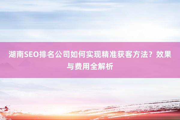 湖南SEO排名公司如何实现精准获客方法？效果与费用全解析