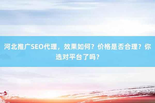 河北推广SEO代理，效果如何？价格是否合理？你选对平台了吗？