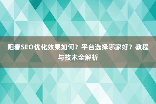 阳春SEO优化效果如何？平台选择哪家好？教程与技术全解析