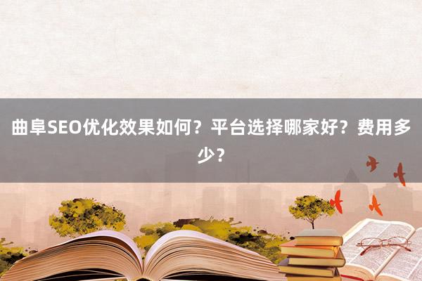 曲阜SEO优化效果如何？平台选择哪家好？费用多少？