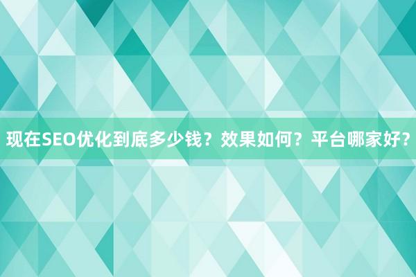 现在SEO优化到底多少钱？效果如何？平台哪家好？