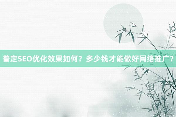 普定SEO优化效果如何？多少钱才能做好网络推广？