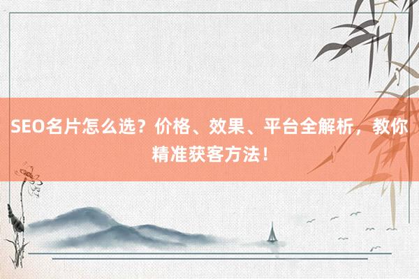 SEO名片怎么选？价格、效果、平台全解析，教你精准获客方法！