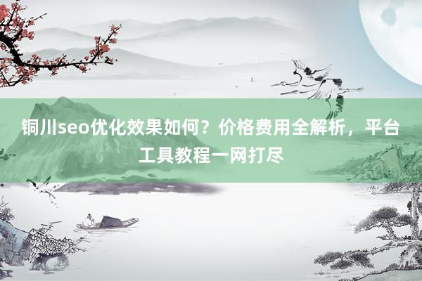 铜川seo优化效果如何？价格费用全解析，平台工具教程一网打尽