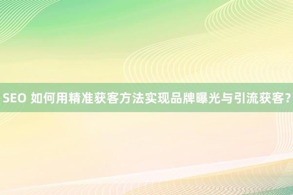 SEO 如何用精准获客方法实现品牌曝光与引流获客？