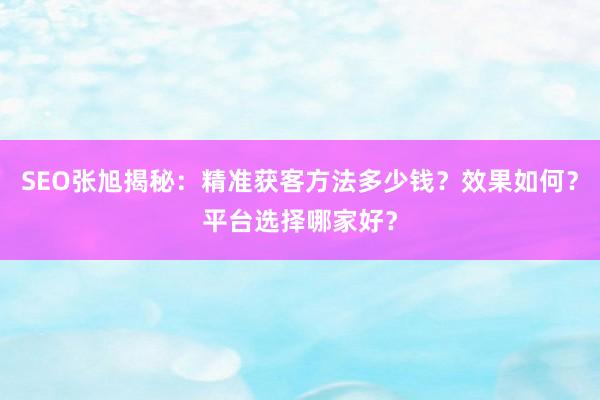 SEO张旭揭秘：精准获客方法多少钱？效果如何？平台选择哪家好？