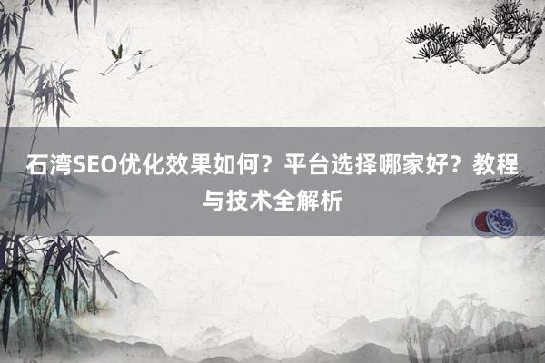 石湾SEO优化效果如何？平台选择哪家好？教程与技术全解析
