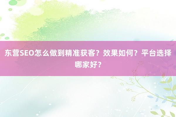 东营SEO怎么做到精准获客？效果如何？平台选择哪家好？