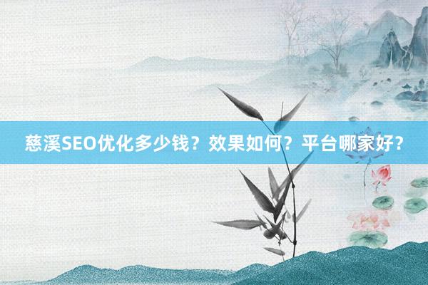 慈溪SEO优化多少钱？效果如何？平台哪家好？