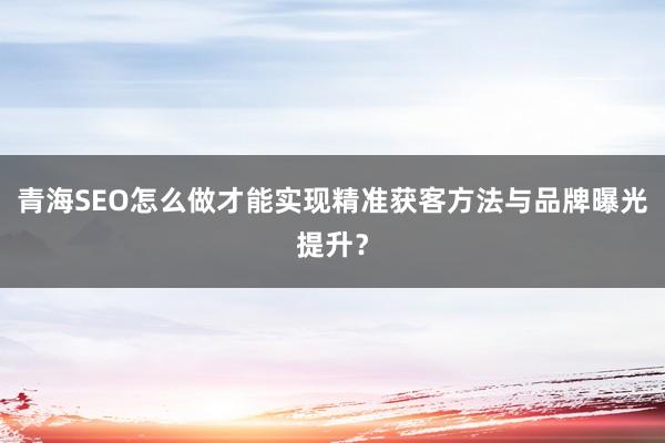 青海SEO怎么做才能实现精准获客方法与品牌曝光提升？