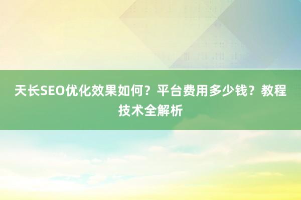 天长SEO优化效果如何？平台费用多少钱？教程技术全解析