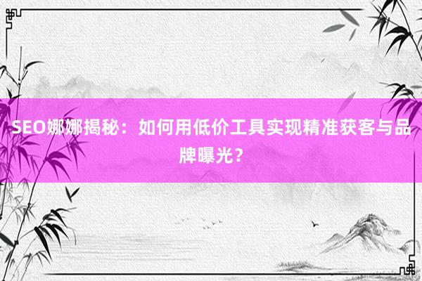 SEO娜娜揭秘：如何用低价工具实现精准获客与品牌曝光？
