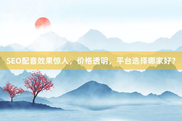 SEO配音效果惊人，价格透明，平台选择哪家好？