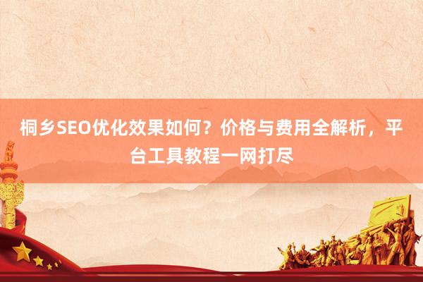 桐乡SEO优化效果如何？价格与费用全解析，平台工具教程一网打尽