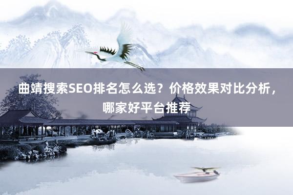 曲靖搜索SEO排名怎么选？价格效果对比分析，哪家好平台推荐