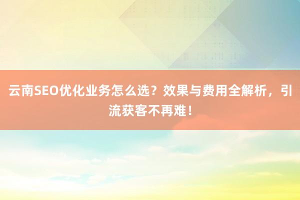 云南SEO优化业务怎么选？效果与费用全解析，引流获客不再难！