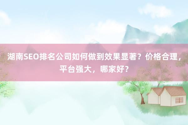 湖南SEO排名公司如何做到效果显著？价格合理，平台强大，哪家好？