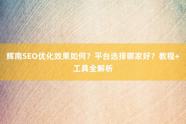 辉南SEO优化效果如何？平台选择哪家好？教程+工具全解析