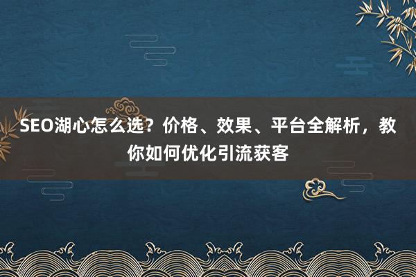SEO湖心怎么选？价格、效果、平台全解析，教你如何优化引流获客