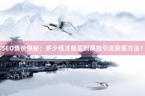SEO售价揭秘：多少钱才能买到高效引流获客方法？