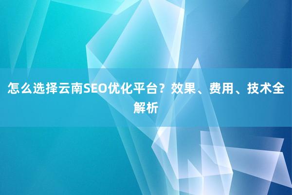 怎么选择云南SEO优化平台？效果、费用、技术全解析