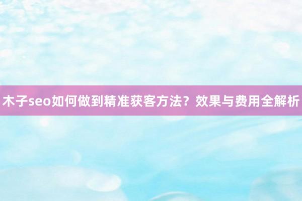 木子seo如何做到精准获客方法？效果与费用全解析