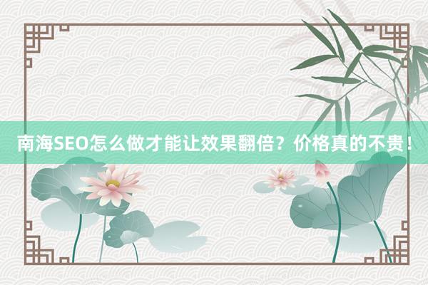 南海SEO怎么做才能让效果翻倍？价格真的不贵！