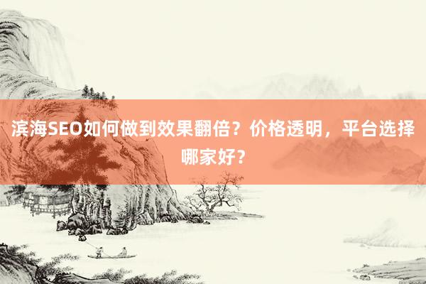 滨海SEO如何做到效果翻倍？价格透明，平台选择哪家好？