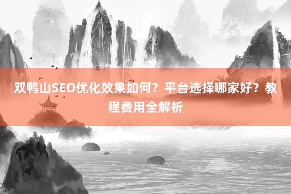 双鸭山SEO优化效果如何？平台选择哪家好？教程费用全解析