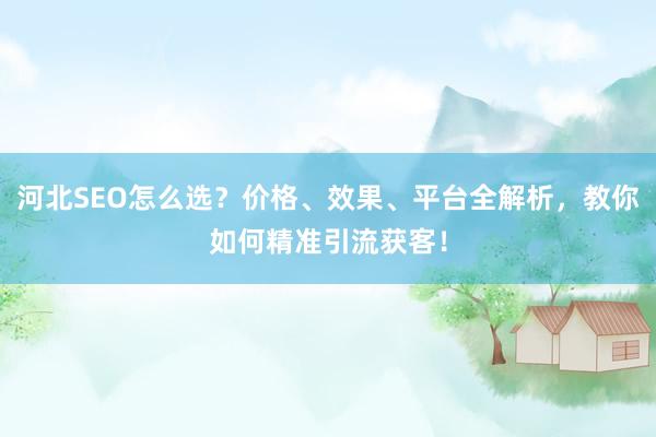 河北SEO怎么选？价格、效果、平台全解析，教你如何精准引流获客！