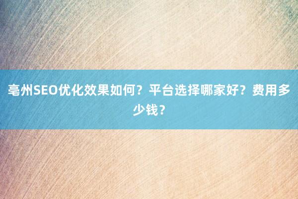 亳州SEO优化效果如何？平台选择哪家好？费用多少钱？
