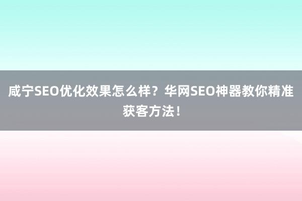 咸宁SEO优化效果怎么样？华网SEO神器教你精准获客方法！