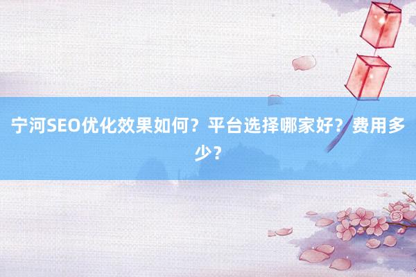 宁河SEO优化效果如何？平台选择哪家好？费用多少？