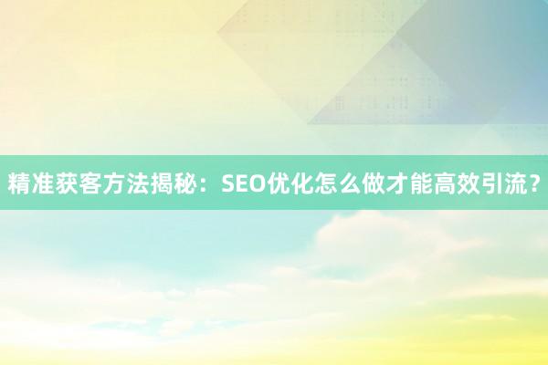 精准获客方法揭秘：SEO优化怎么做才能高效引流？