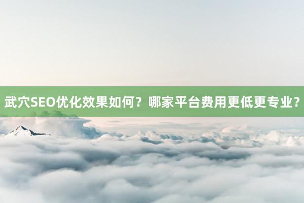 武穴SEO优化效果如何？哪家平台费用更低更专业？