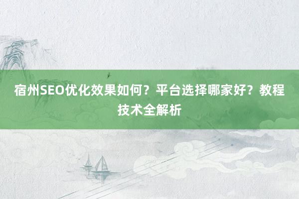 宿州SEO优化效果如何？平台选择哪家好？教程技术全解析